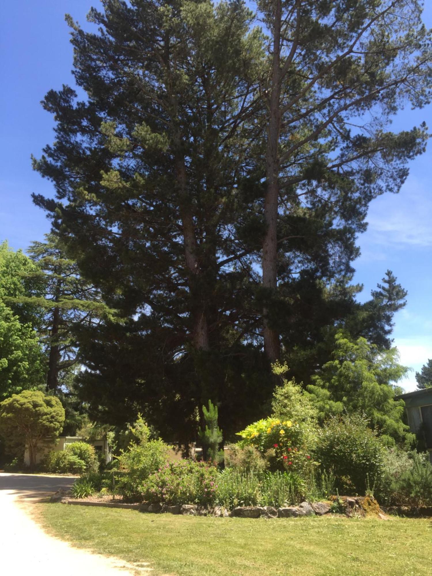 Daylesford Holiday Park Exterior foto